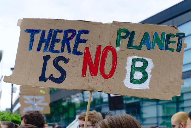 klimademo, protest, schild, umweltschutz, 