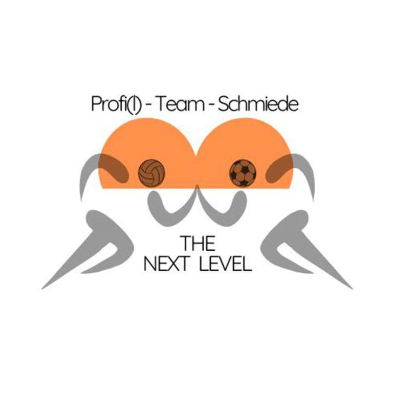  Das Logo der Profi(l)-Team-Schmiede 